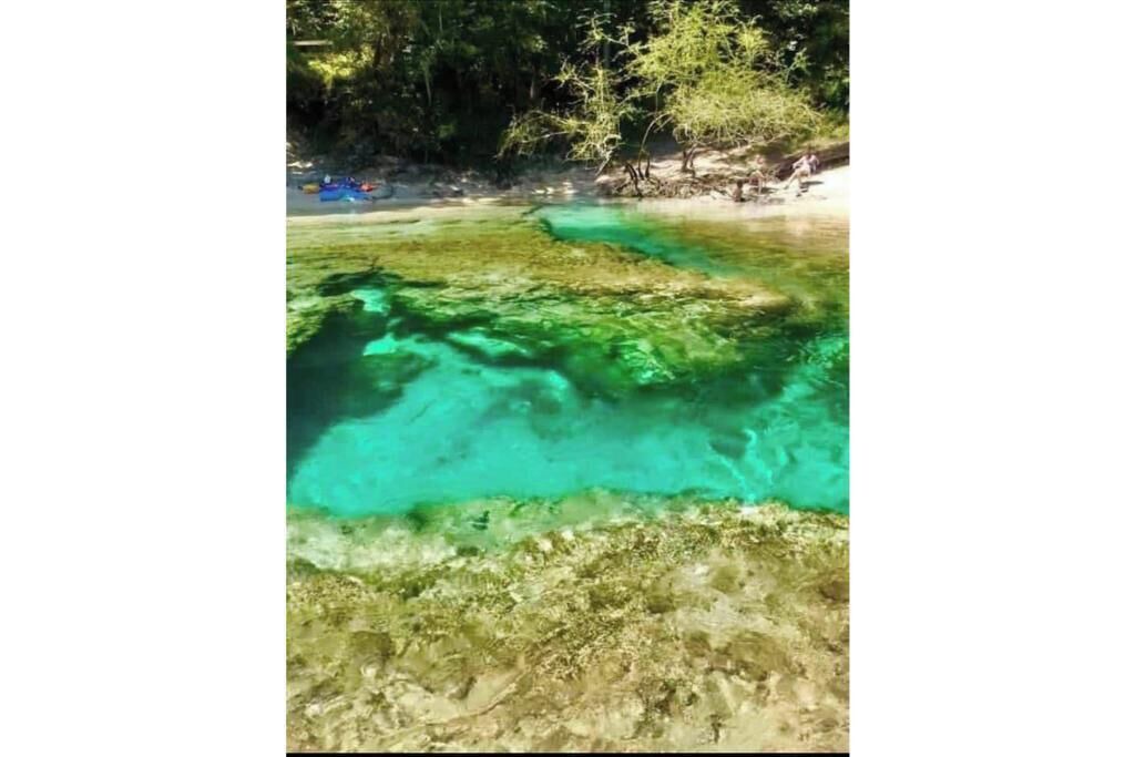 Photo of Others in O Brien