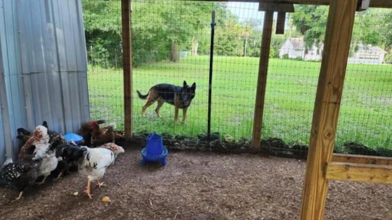 Photo of Outdoor in O Brien