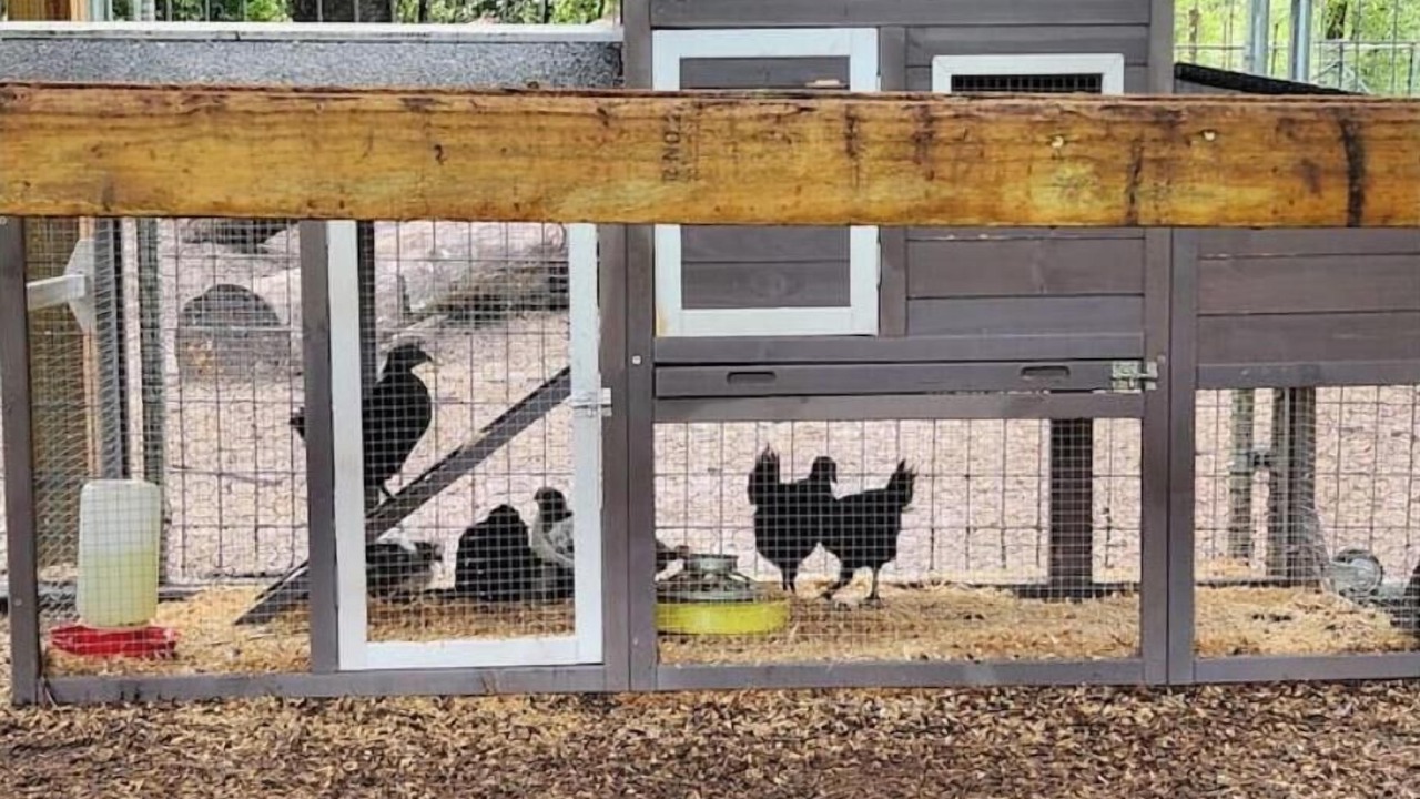 Photo of Outdoor in O Brien