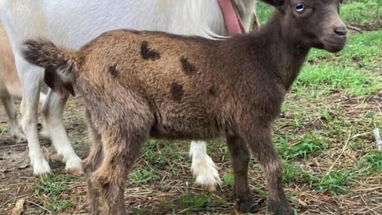 Photo of Others in O Brien