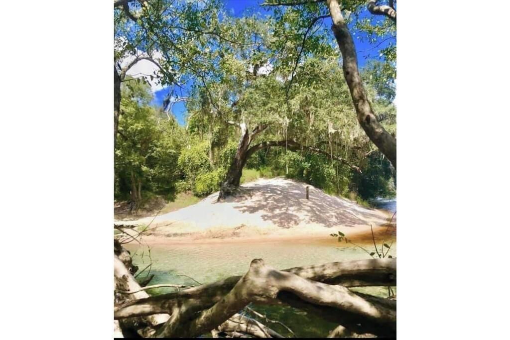 Photo of Others in O Brien