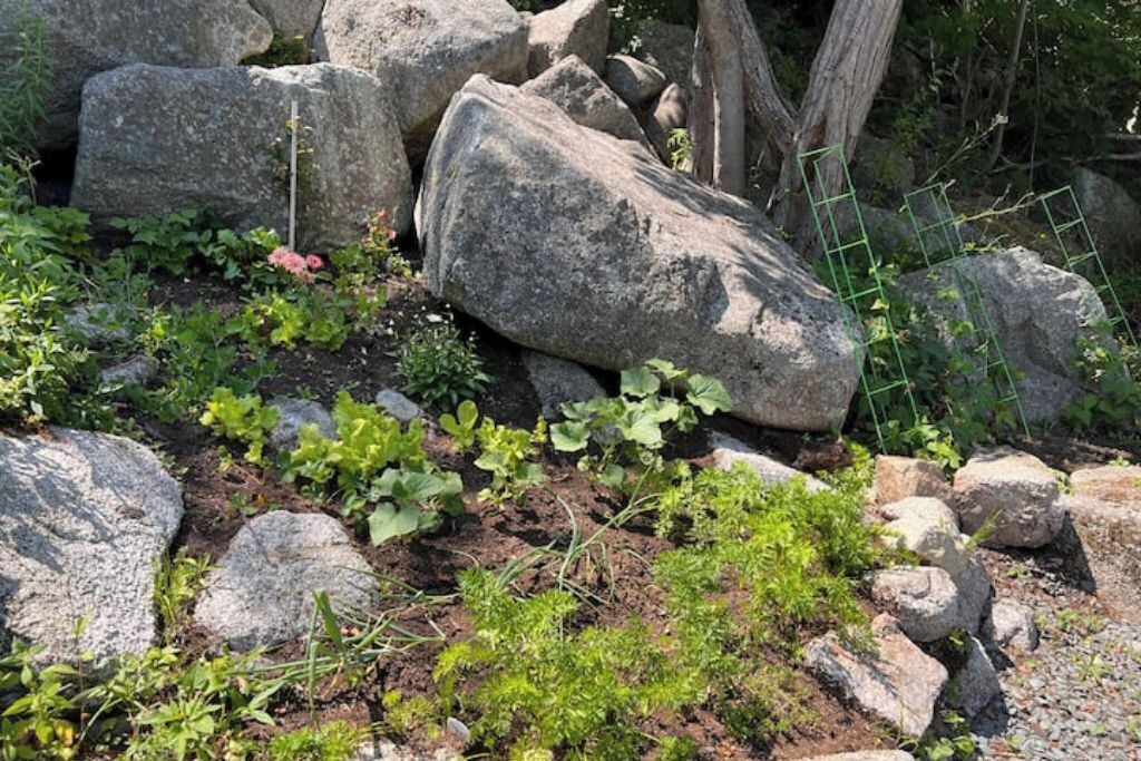 Photo of Outdoor in Halifax