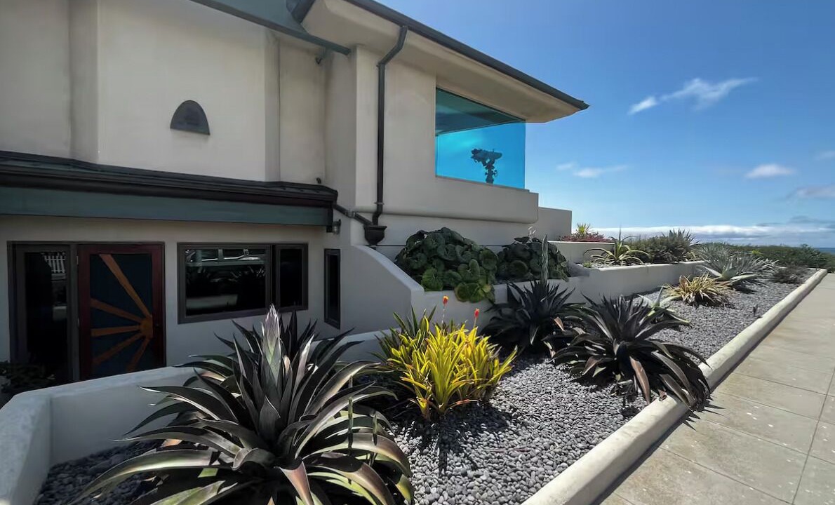 Photo of Outdoor in Ocean Beach