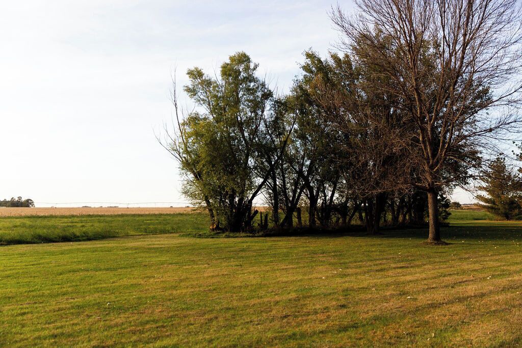 Photo of Others in Kearney