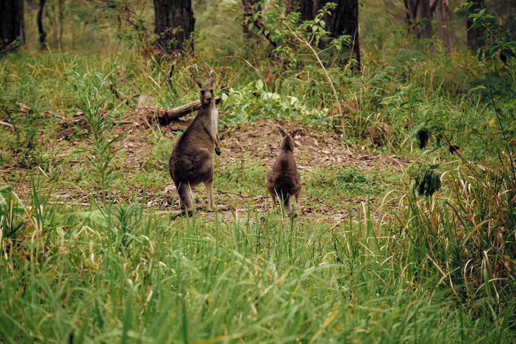 Photo of Others in Mullaway