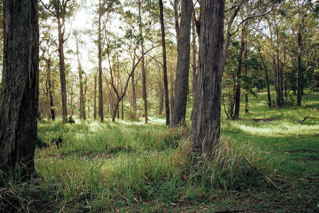 Photo of Others in Mullaway