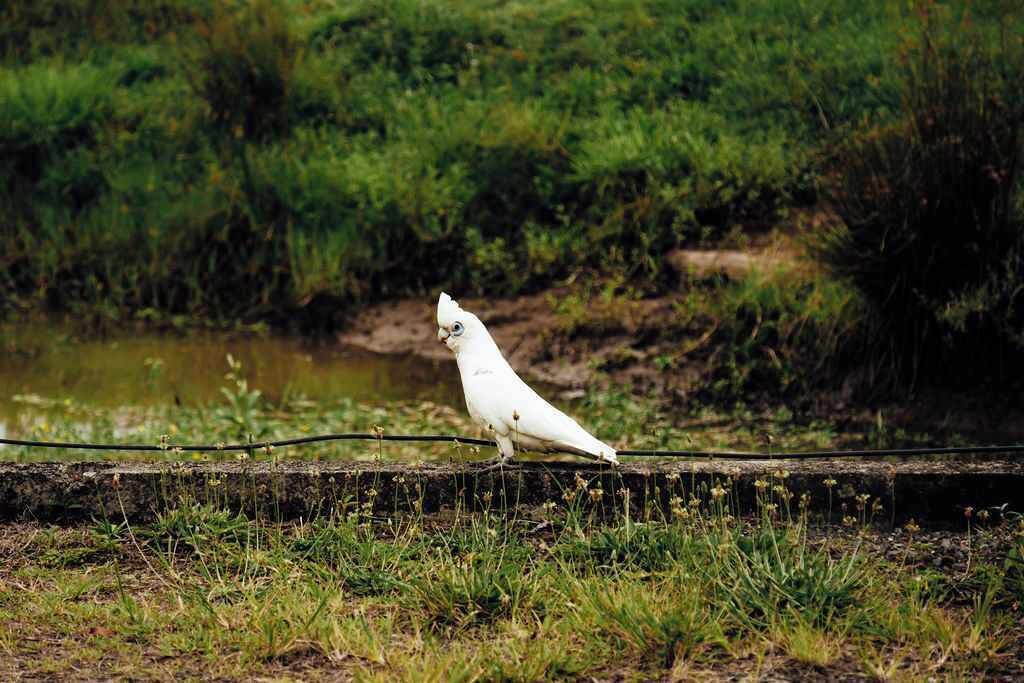 Photo of Others in Mullaway