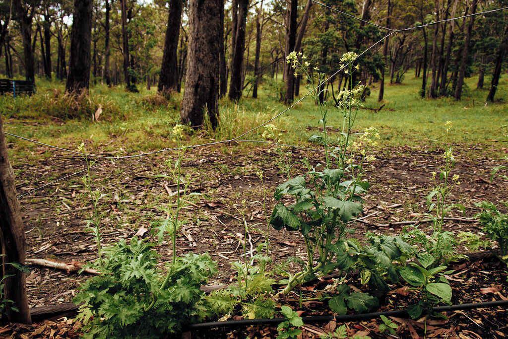 Photo of Outdoor in Mullaway