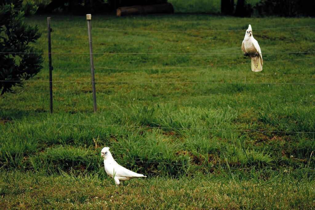 Photo of Others in Mullaway