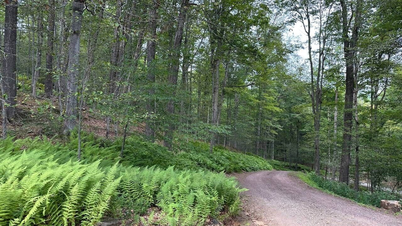 Photo of Others in Charlemont