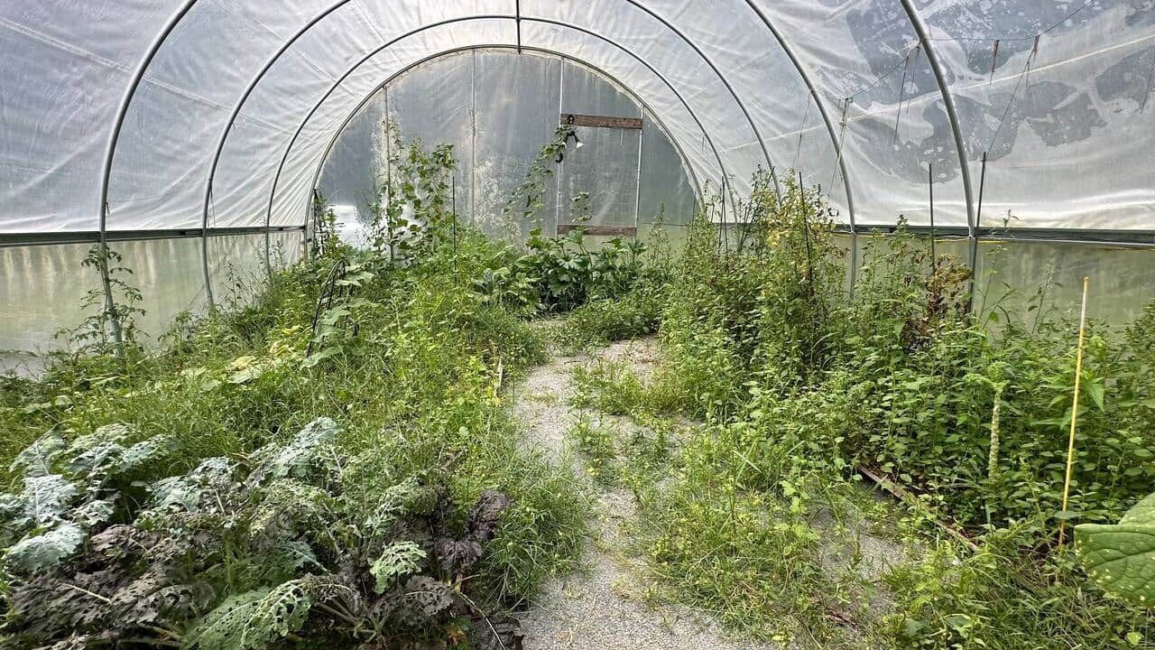 Photo of Outdoor in Charlemont