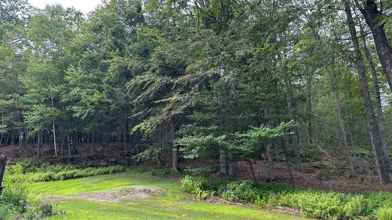 Photo of Others in Charlemont