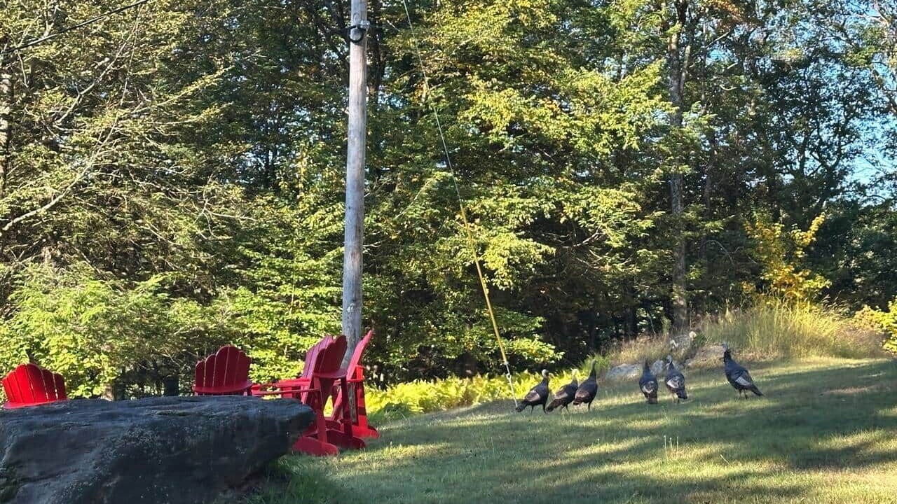 Photo of Outdoor in Charlemont