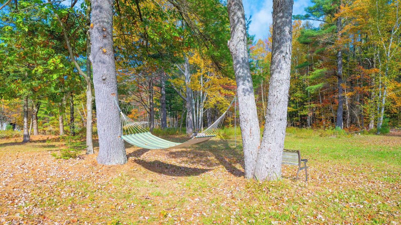 Photo of Outdoor in Gravenhurst