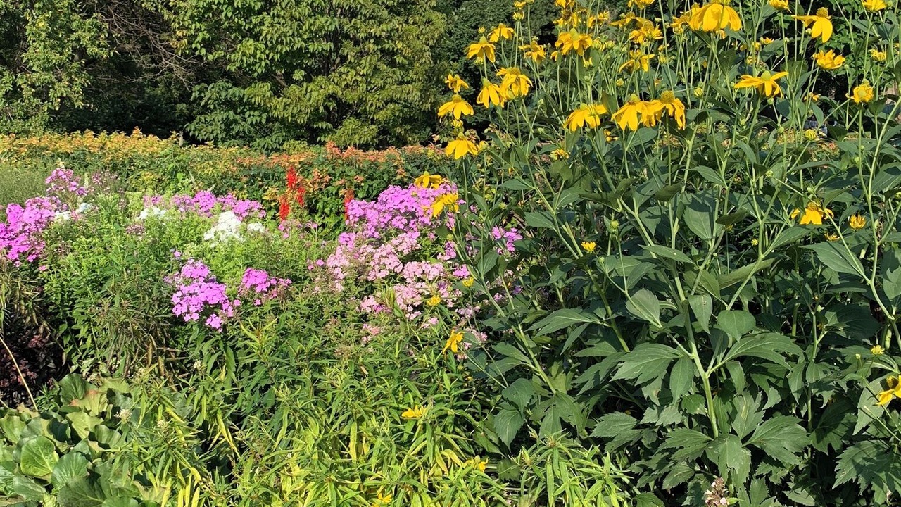 Photo of Outdoor in Linden Hills