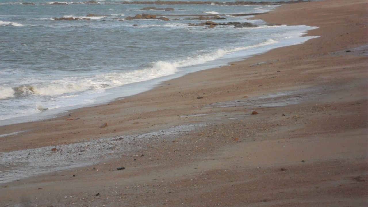 Photo of Others in Vrasville