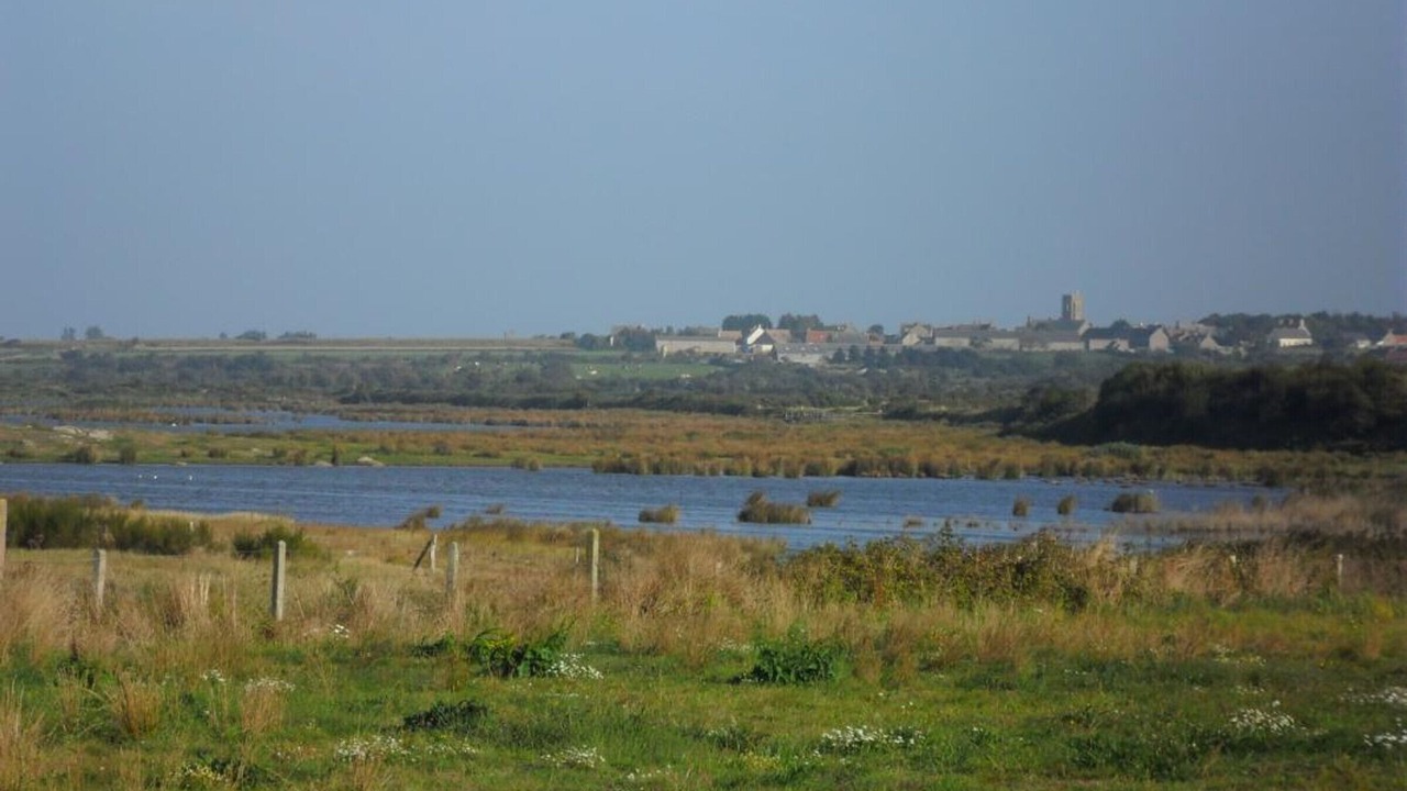 Photo of Others in Vrasville