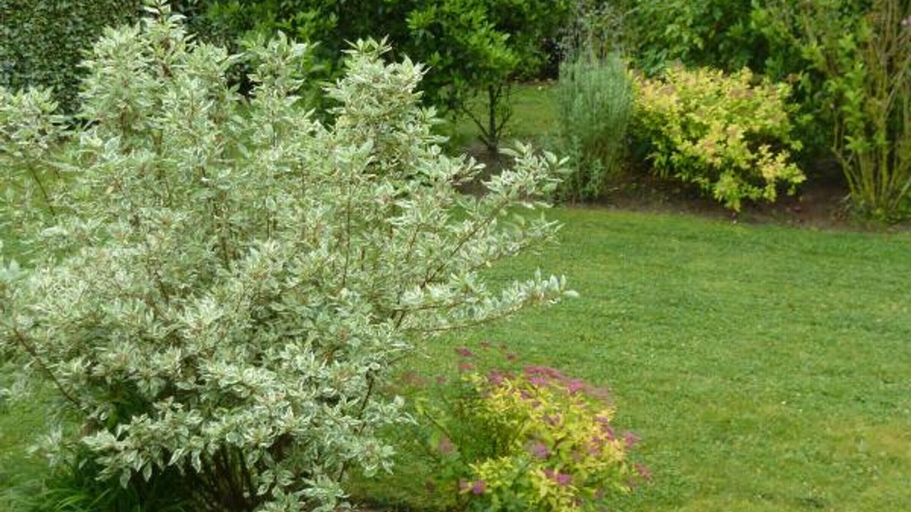 Photo of Outdoor in Annoville