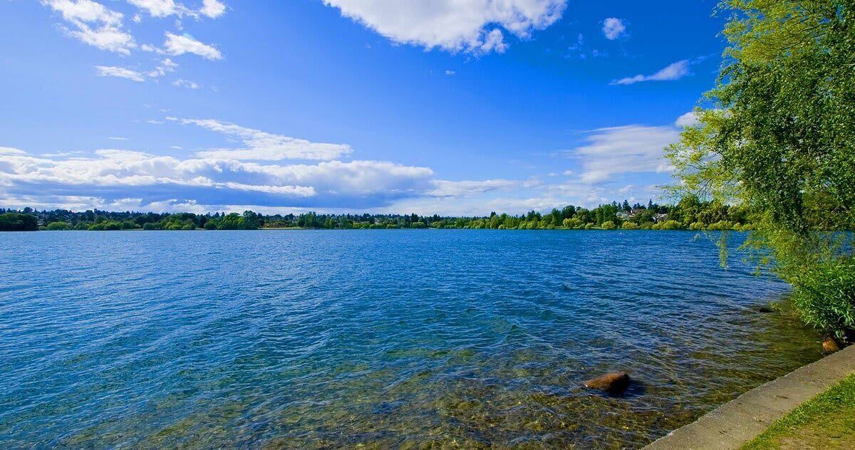 Photo of Outdoor in Seattle