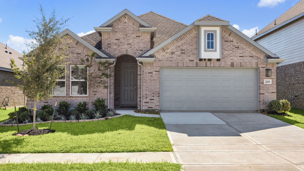 Photo of Others in Friendswood