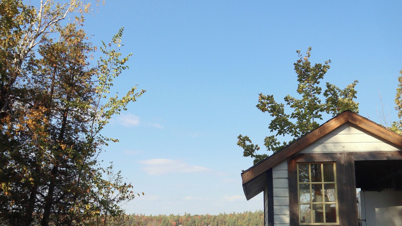 Photo of Outdoor in Woodview
