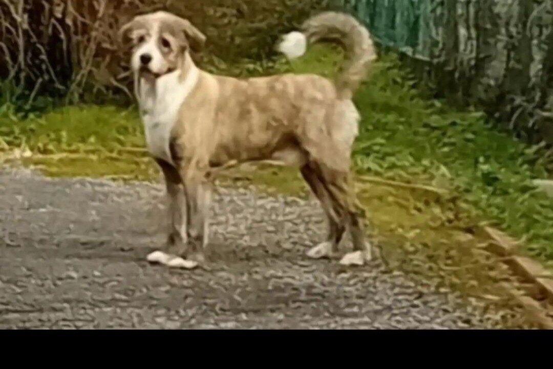 Photo of Others in Gurs