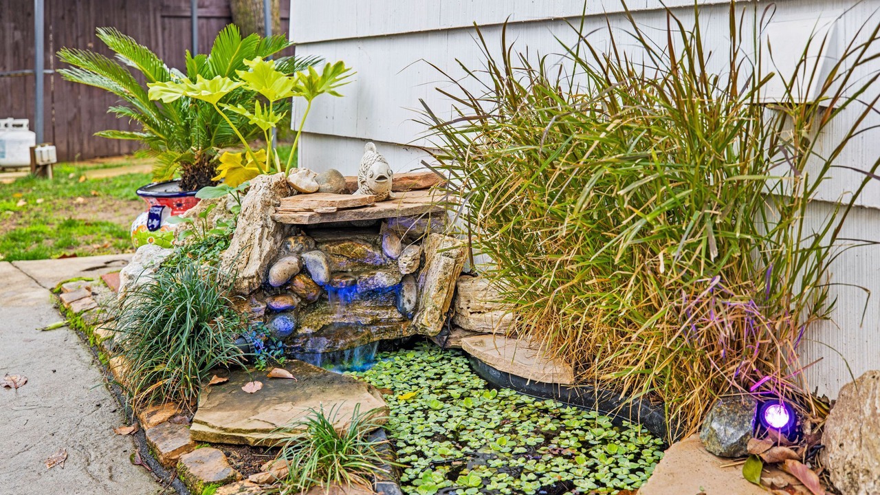 Photo of Outdoor in Rancho Cordova