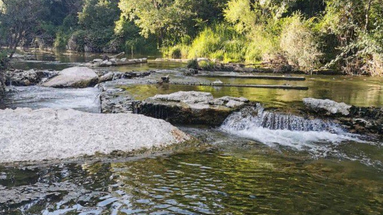 Photo of Others in Saint Maime