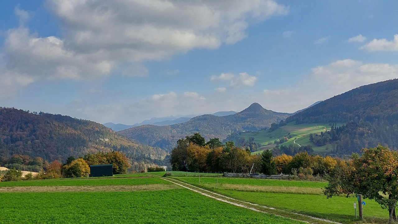 Photo of Others in Liesberg
