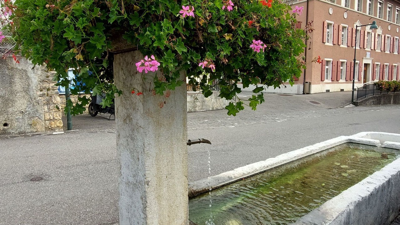 Photo of Outdoor in Liesberg