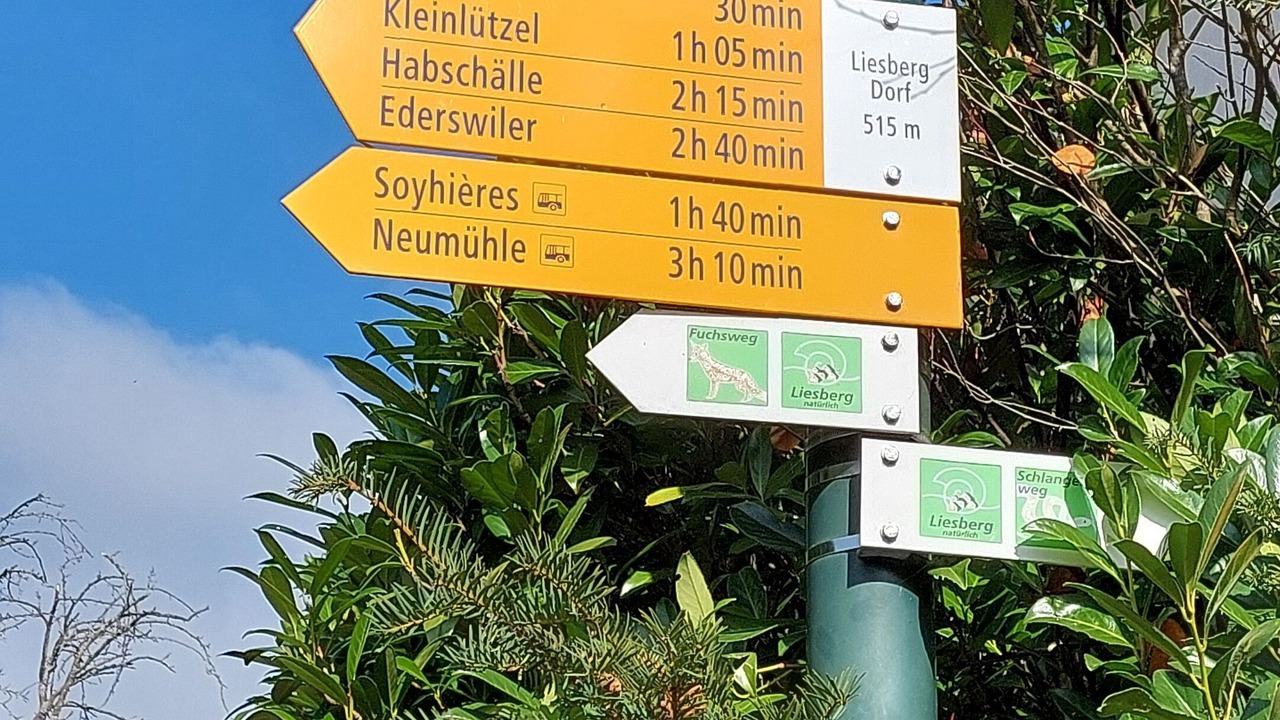 Photo of Others in Liesberg