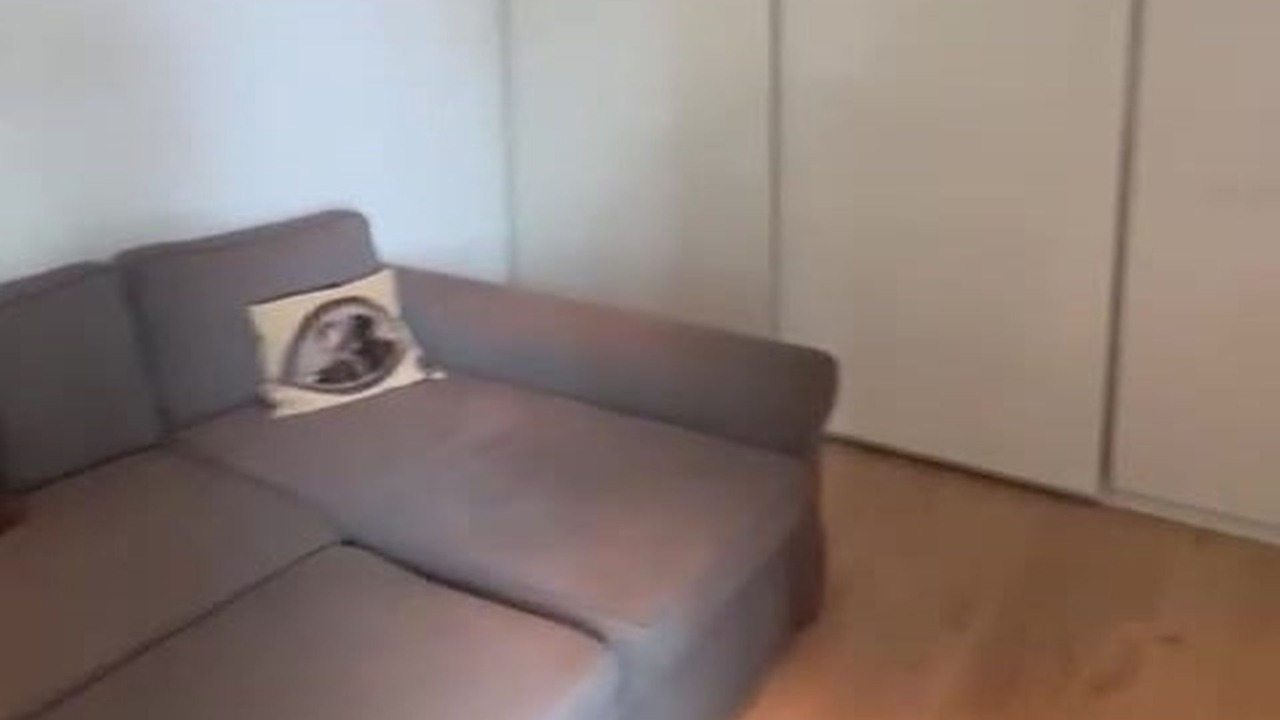 Photo of Livingroom in Lutry