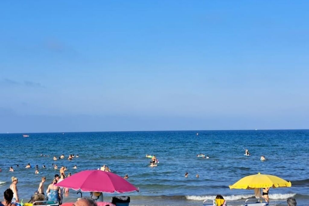 Photo of Others in Torrevieja