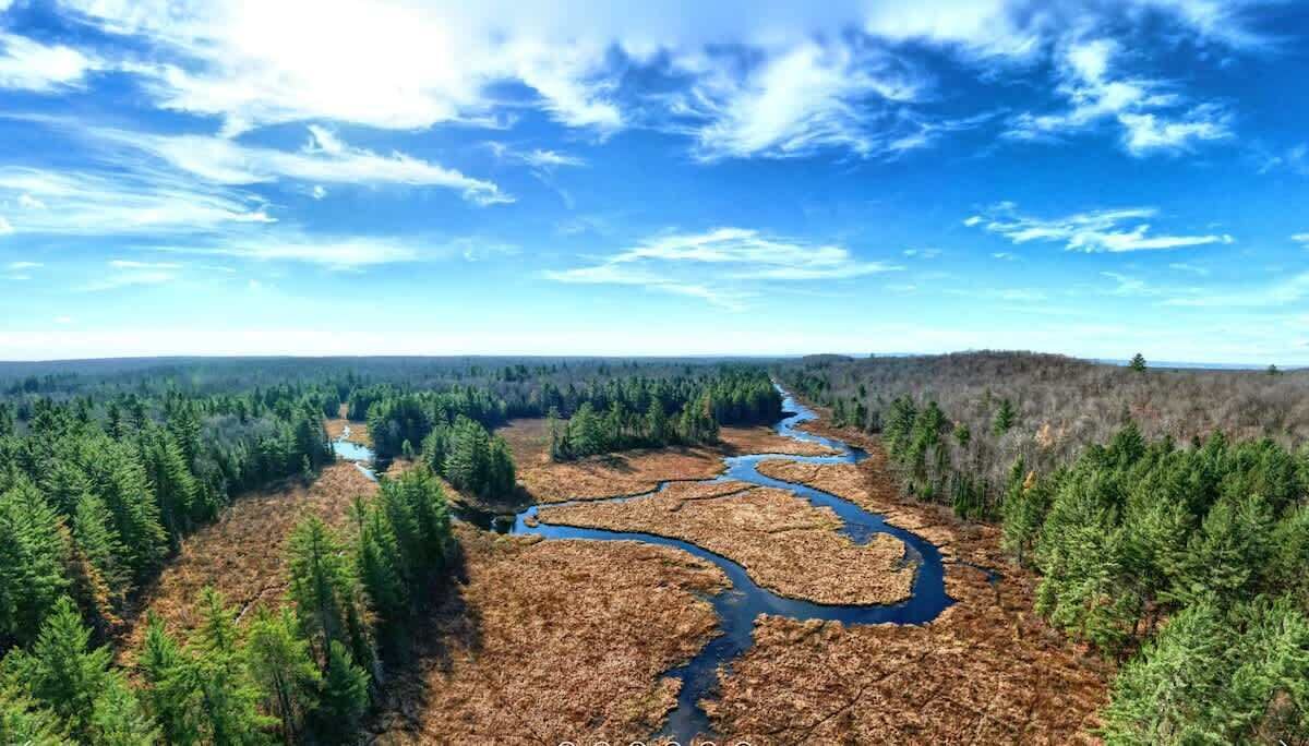 Photo of Others in Glenfield