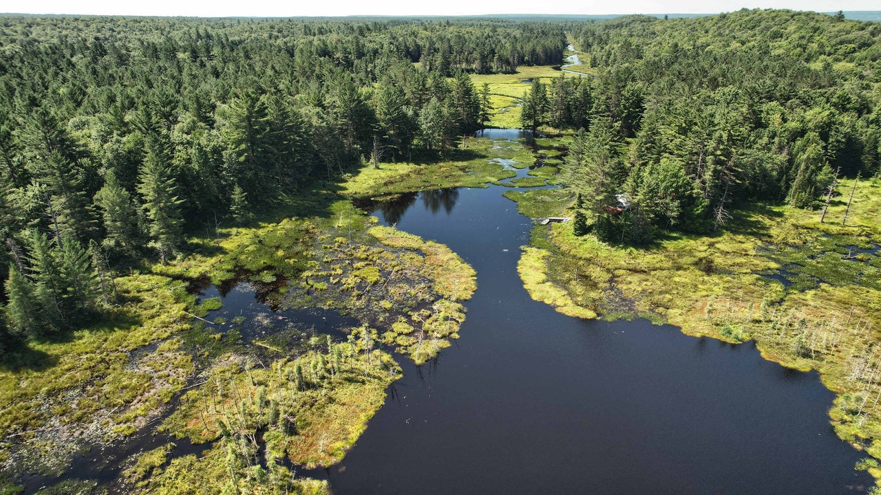 Photo of Outdoor in Glenfield