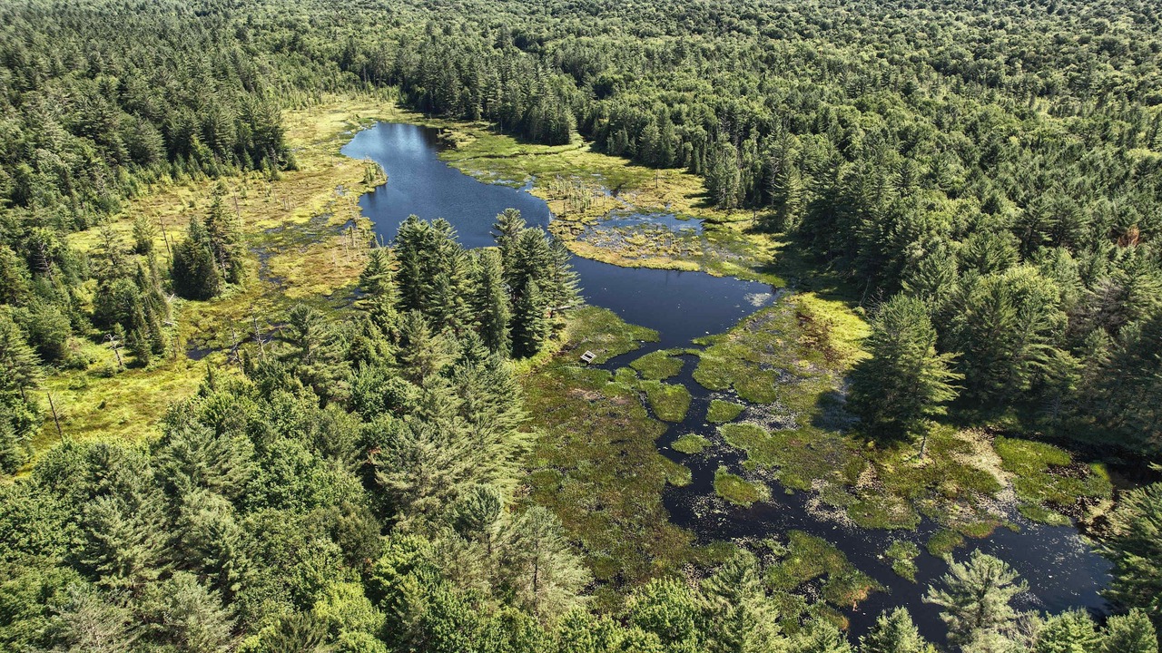 Photo of Outdoor in Glenfield