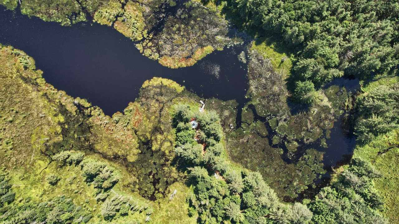 Photo of Outdoor in Glenfield