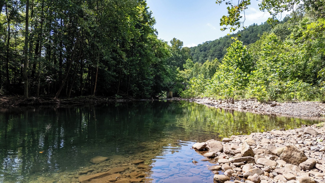 Photo of Others in Rawley Springs