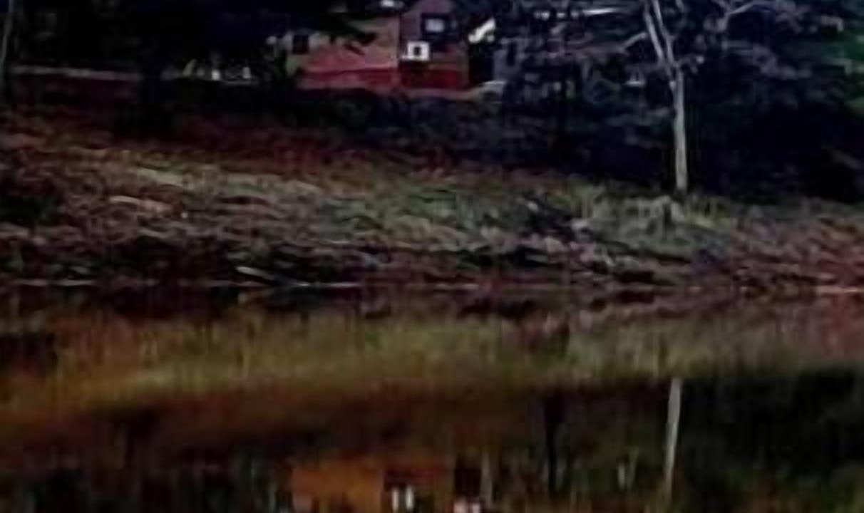 Photo of Others in Gilmer
