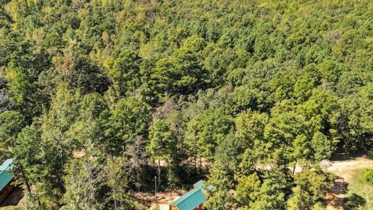 Photo of Outdoor in Gilmer