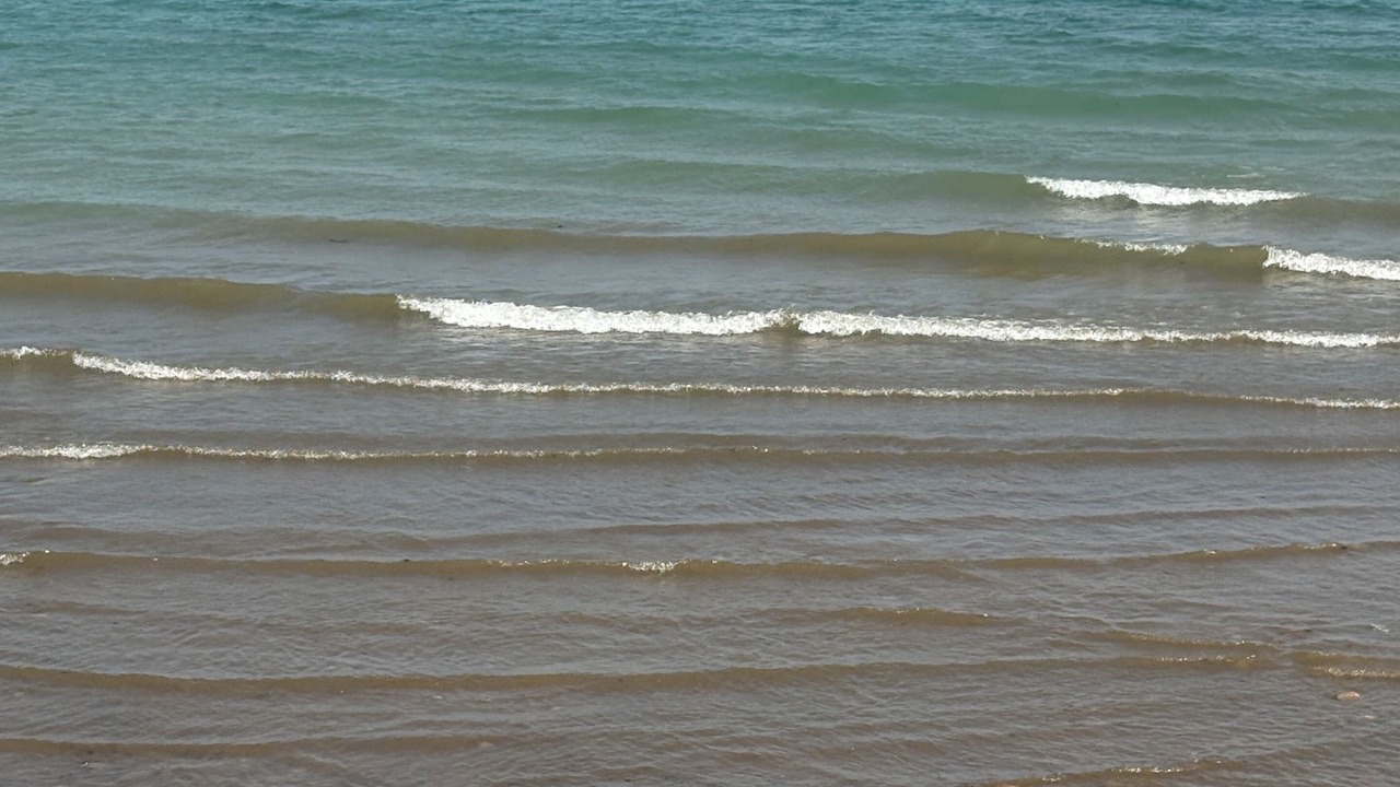 Photo of Others in Suttons Bay