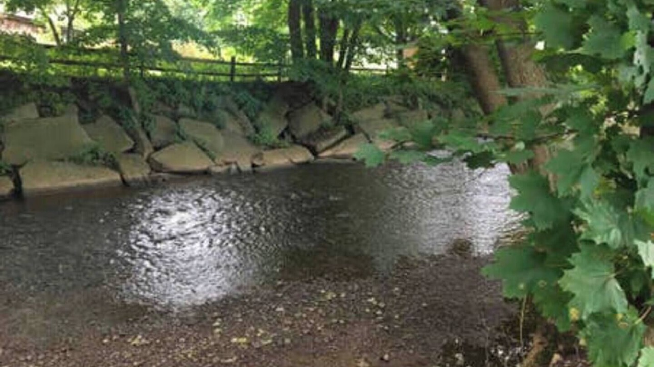 Photo of Outdoor in Otego