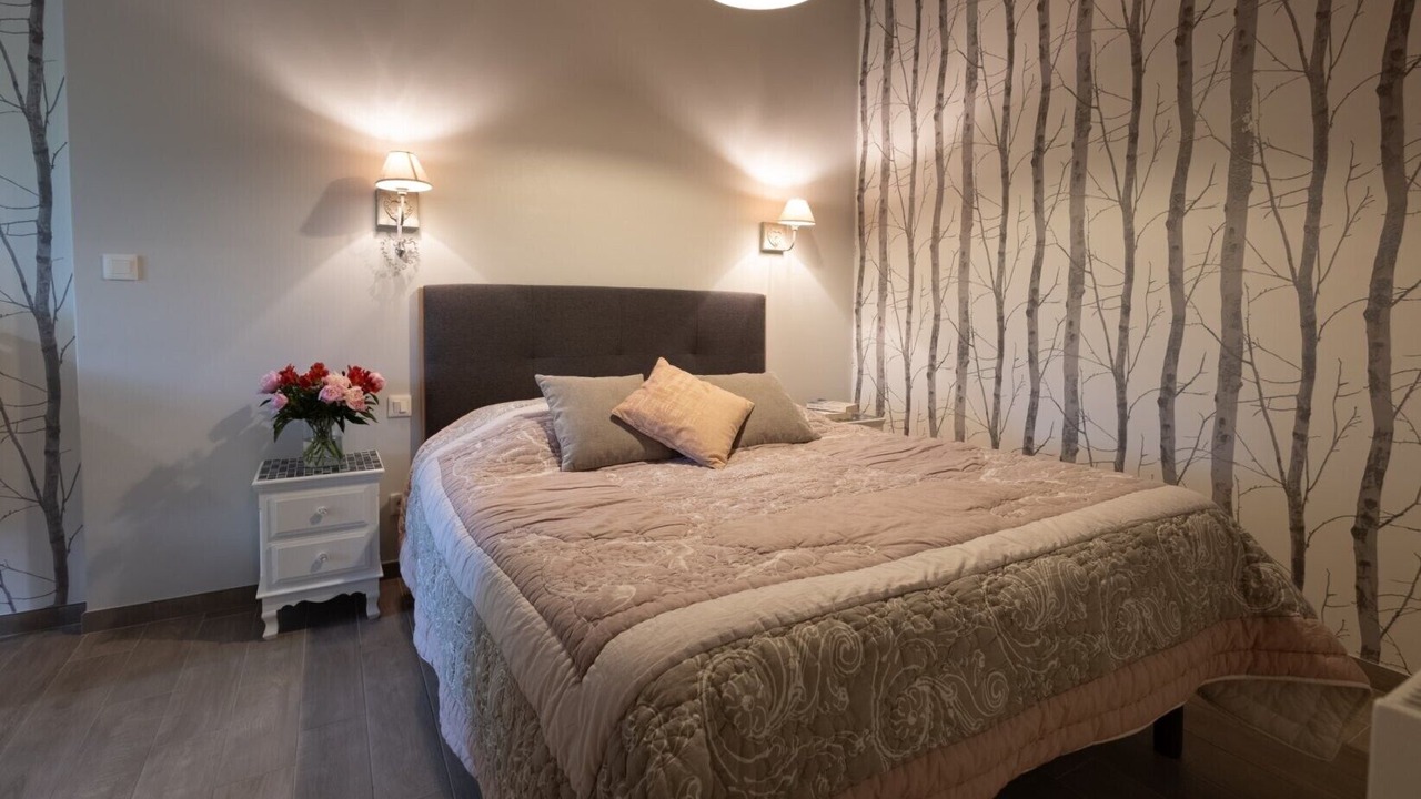 Photo of Bedroom in Bouzille
