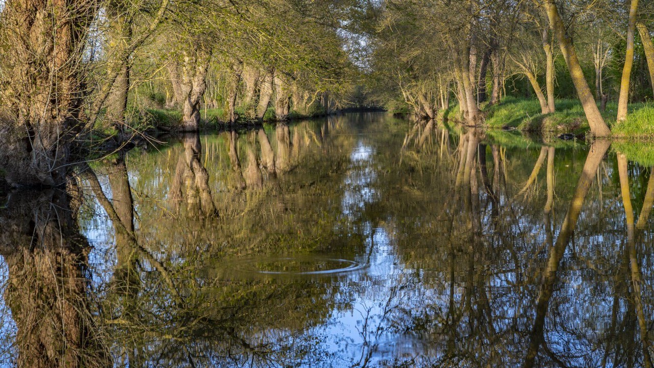 Photo of Others in Bouzille