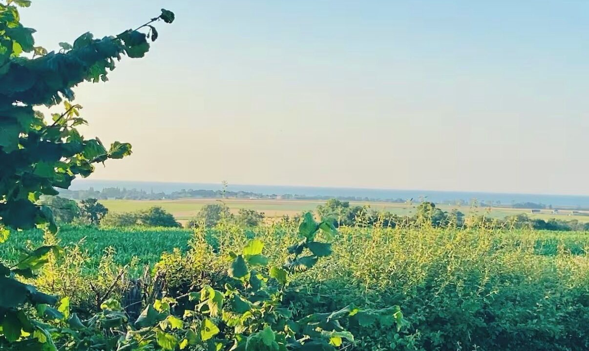 Photo of Others in Bazenville