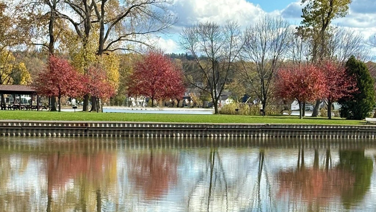 Photo of Others in Livonia