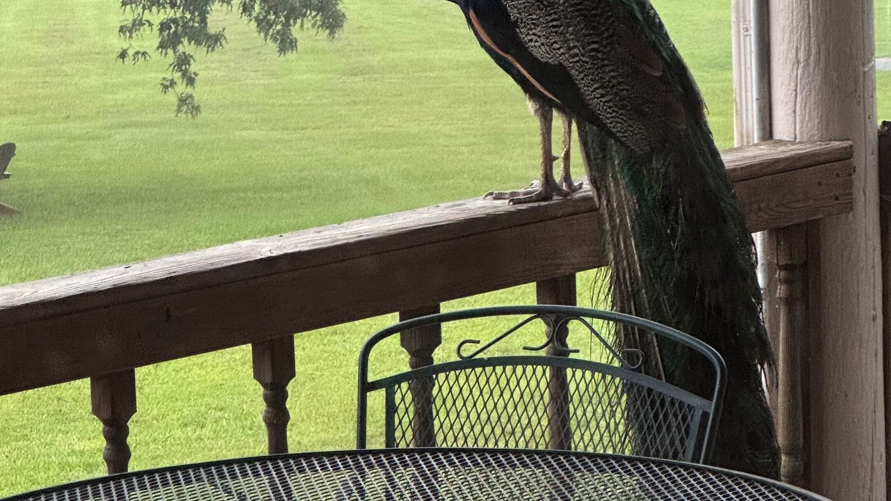 Photo of Outdoor in Caddo Gap
