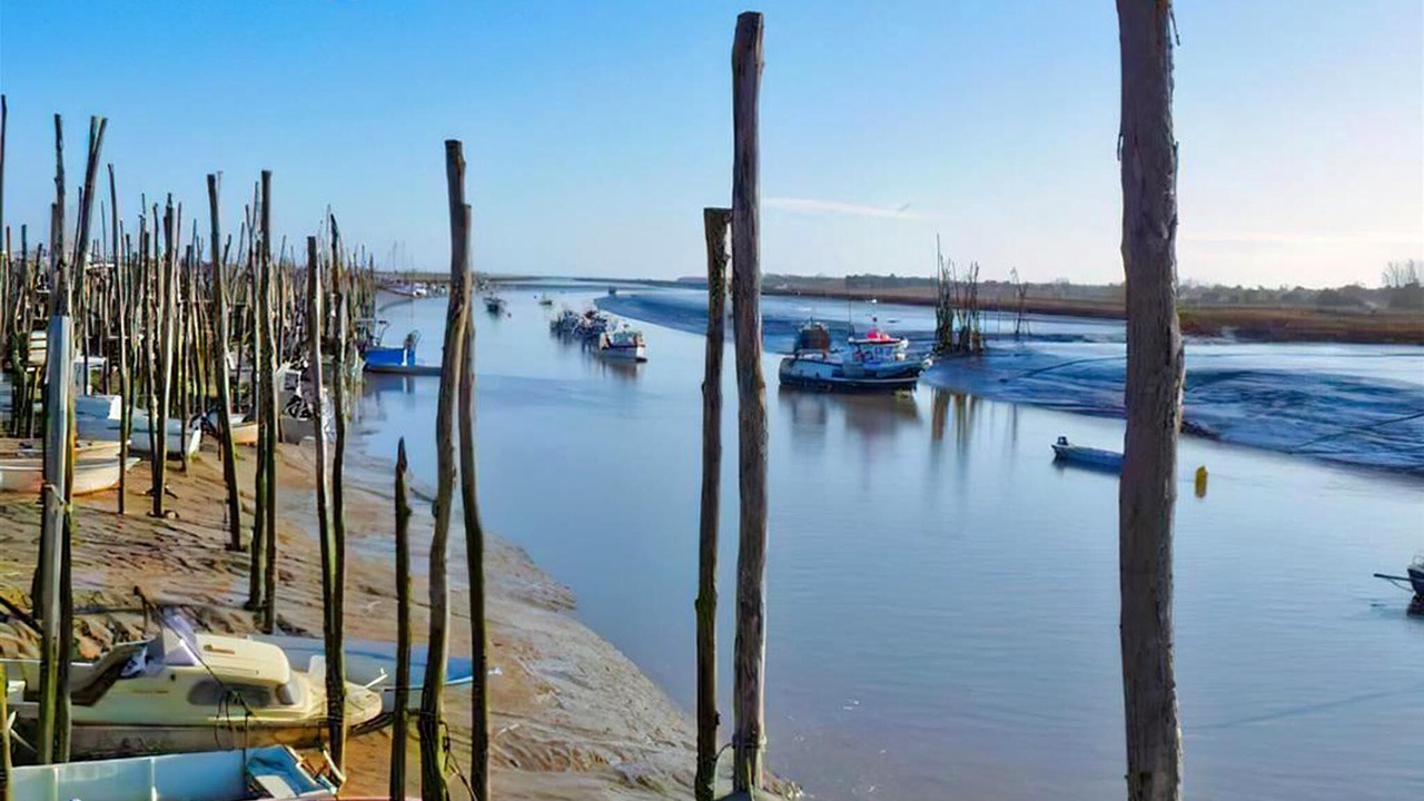 Photo of Others in LʼAiguillon-sur-Mer