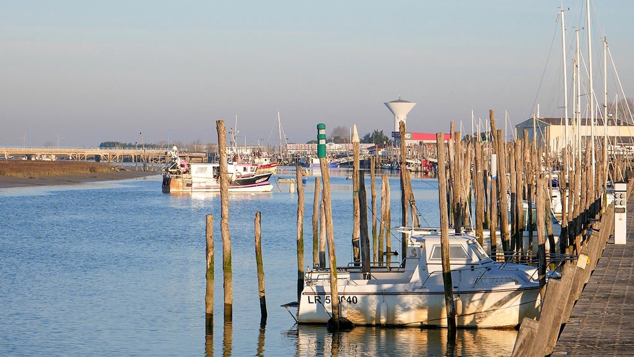 Photo of Others in LʼAiguillon-sur-Mer