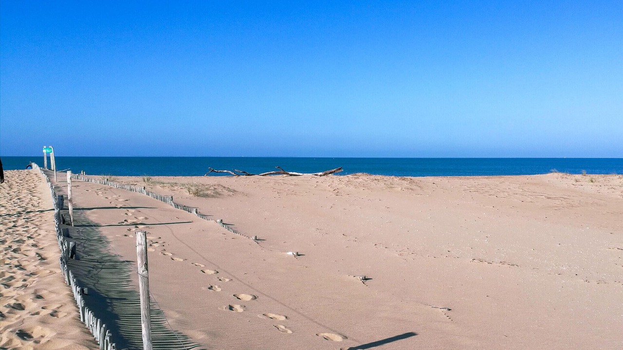 Photo of Others in LʼAiguillon-sur-Mer